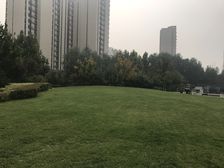 中国铁建花语金郡 1室1厅 西