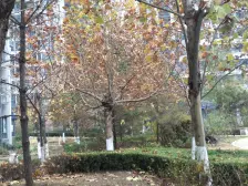 新希望家园106平三室南北通透婚房装修轻轨3号线