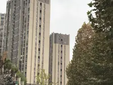 茶园新区 金科中央御院二期五房225万