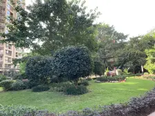 石桥铺 华宇时代星都三房103万