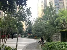 谢家湾 聚金万佳苑三房92万