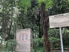 联芳桥 怡锦苑三期三房66万