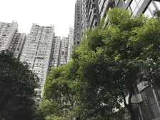 中铁西子香荷 2室2厅 南 北