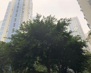 现代城2室1厅西北