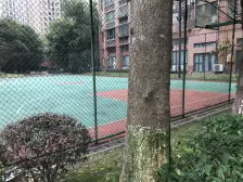 少有毛坯两房 近永辉 近公园 价格可谈