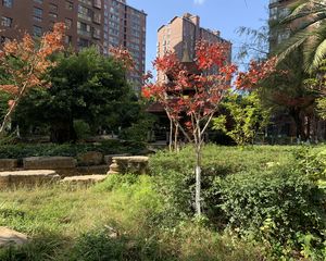 第三城丹槿园 精装修三房 产权清晰 房东诚心出售