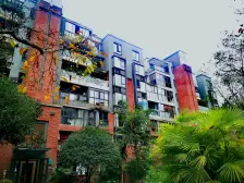 园区绿化丰富,成熟度高,适宜养老居住