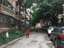 6楼还没有装电梯,出行便利 ,适合住家.顶楼花园