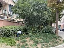 电机一村 1室1厅 南