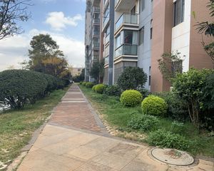 彼岸二期退台洋房,五跃六,业主诚心出售
