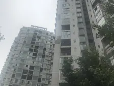 农业园区 青河苑三房99万