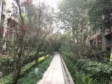 龙湖开发商,交通出行方便,业主诚售,配套齐全