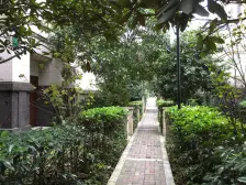 宝嘉花与山 联排别墅 有花园 双车位