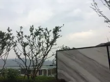 户型通透,采光通风俱佳,背山面水,视野开阔!