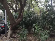 电力大院 有电梯 精装修 领包入住啊