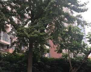 紫东芯座2室1厅南