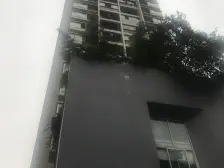 农业园区 天高鸿苑三房95万