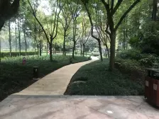 蝴蝶户型大阳台入户花园有鲁能吧蜀楚稿朝南看中庭