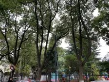 西环路地铁一号沿线 小户型 小区中间位置 房东诚意售