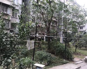 诚心出售看房方便有钥匙阳光好
