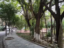 南坪铜元局,出门就有公交,视野好,配套齐全