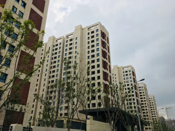 中粮南桥锦云