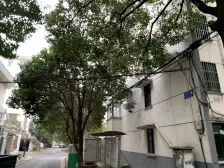 姑苏金门三元三村4室2厅南边花园广场全天采光实际面积150平