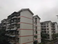 鸳鸯 花朝小区二房30万