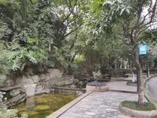 南坪 帝豪峰 顶跃 视野开阔 配套齐全