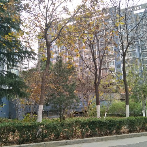 泉景天沅秀园3室1厅1卫南北朝向3500.00元/月出租