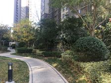 2016年建成,大开发商,人车分流