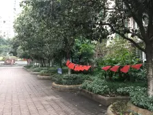 配套成熟 采光好 有装修 离步行街近