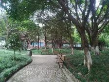 彩云小城 3室1厅 南 北