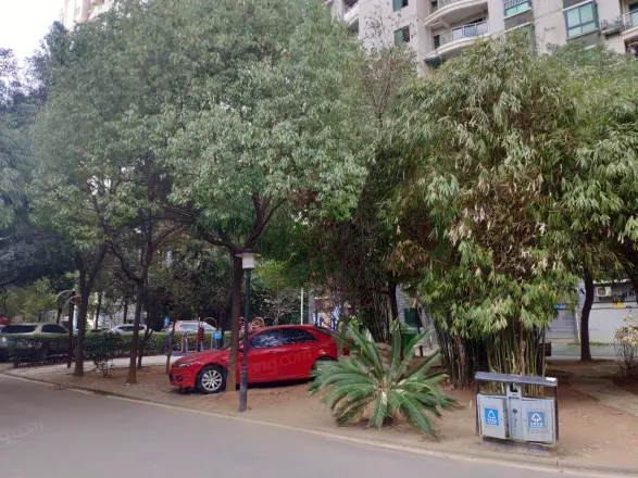 学雅芳邻
