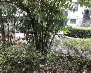 摩尔城颐景园,楼栋位置好,3楼,北海一初