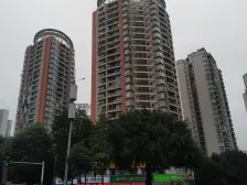 金科品质小区 精装 户型通透 不潮湿 小花园 私密性好