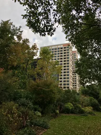 中粮南桥锦云