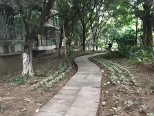 配套成熟 采光好 精装修 离步行街近