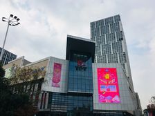 宝龙城市广场(奉贤) 1室1厅 东