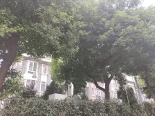 威宁花苑4室南朝向1210.00万元/套出售