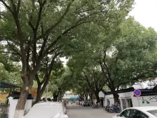 新上两房,三元一村,不靠高架,位置采光好,诚售!