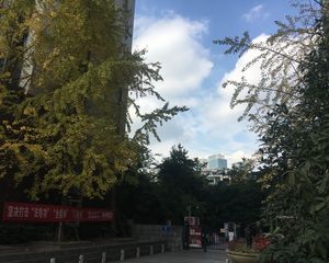 景茂城果2室1厅东西