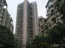 二郎 金科绿韵康城四房141万