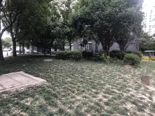 联星丽景苑 1室1厅 南