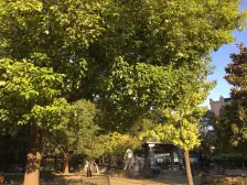 内环内小高层花园洋房,后排不靠马路3房