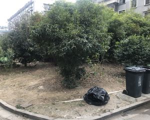 清水嘉苑东区 中间楼层 采光OK 看房方便