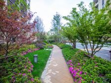 银盛泰·博观新城4室2厅南