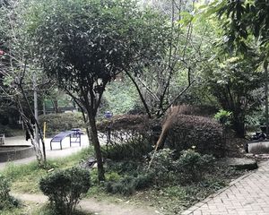 东林小区2室1厅南