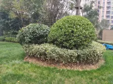 全南边户一室 两梯六户 6号线地铁口