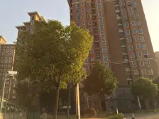 百鸟苑 3室1厅 南